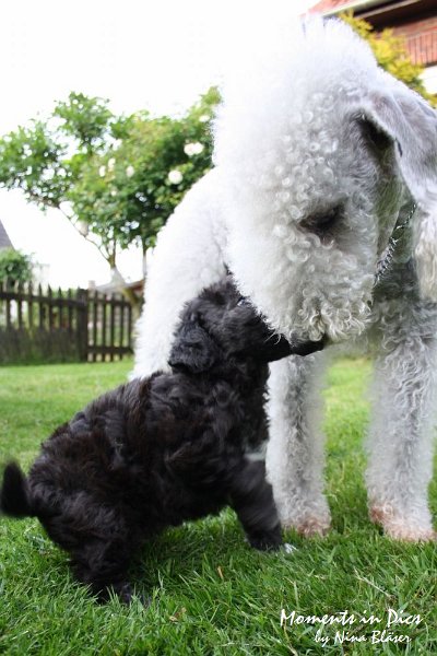 Arc-en-ciel Antares 2009-06-17 (49).JPG